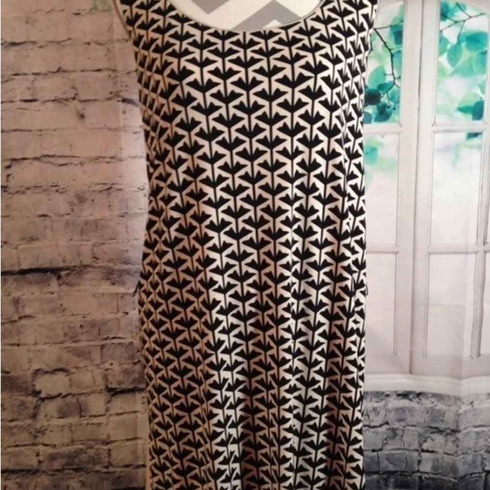 Lovely Black and White Max Studio Dress